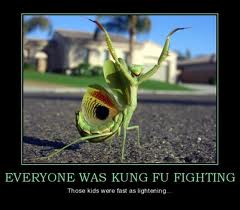 kungfu.jpg